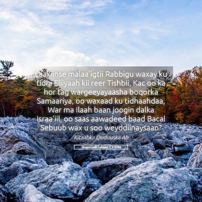 Picture 05 - Boqorradii Labaad 1:3 SOM - Laakiinse malaa'igtii Rabbigu waxay ku tidhi - Bible Verse Picture