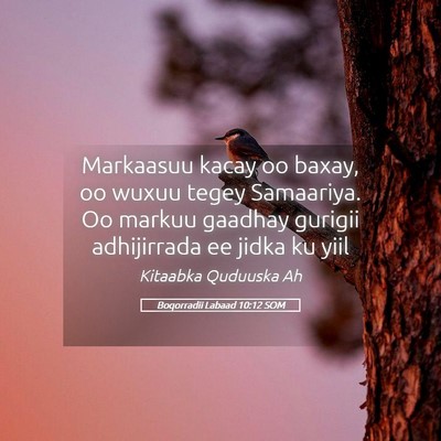 Picture 05 - Boqorradii Labaad 10:12 SOM - Markaasuu kacay oo baxay, oo wuxuu tegey - Bible Verse Picture
