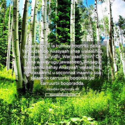 Picture 05 - Boqorradii Labaad 10:13 SOM - ayaa Yeehuu la kulmay boqorkii dalka Yahuudah oo - Bible Verse Picture