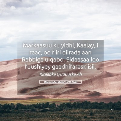 Picture 05 - Boqorradii Labaad 10:16 SOM - Markaasuu ku yidhi, Kaalay, i raac, oo fiiri - Bible Verse Picture