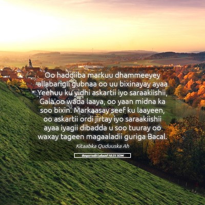 Picture 05 - Boqorradii Labaad 10:25 SOM - Oo haddiiba markuu dhammeeyey allabarigii gubnaa - Bible Verse Picture