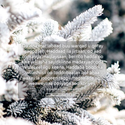 Picture 05 - Boqorradii Labaad 10:6 SOM - Oo isna mar labaad buu warqad u qoray isagoo leh, - Bible Verse Picture