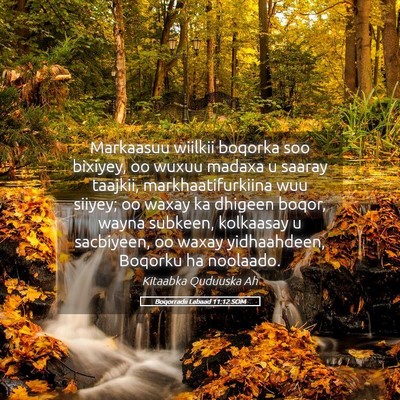Picture 05 - Boqorradii Labaad 11:12 SOM - Markaasuu wiilkii boqorka soo bixiyey, oo wuxuu - Bible Verse Picture