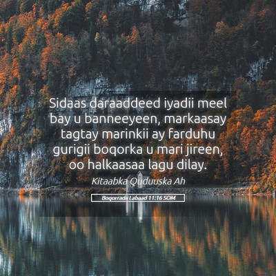 Picture 05 - Boqorradii Labaad 11:16 SOM - Sidaas daraaddeed iyadii meel bay u banneeyeen, - Bible Verse Picture