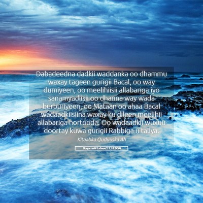Picture 05 - Boqorradii Labaad 11:18 SOM - Dabadeedna dadkii waddanka oo dhammu waxay tageen - Bible Verse Picture