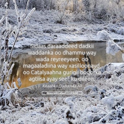 Picture 05 - Boqorradii Labaad 11:20 SOM - Sidaas daraaddeed dadkii waddanka oo dhammu way - Bible Verse Picture