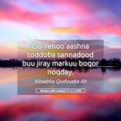 Picture 05 - Boqorradii Labaad 11:21 SOM - Oo Yehoo'aashna toddoba sannadood buu jiray - Bible Verse Picture