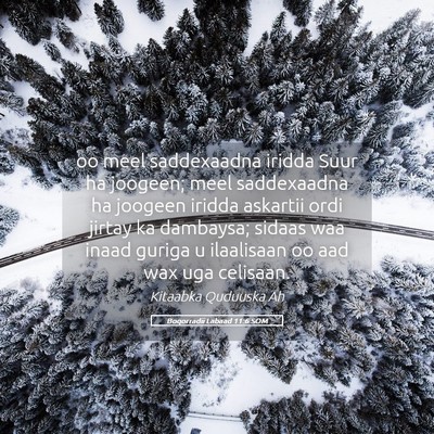 Picture 05 - Boqorradii Labaad 11:6 SOM - oo meel saddexaadna iridda Suur ha joogeen; meel - Bible Verse Picture