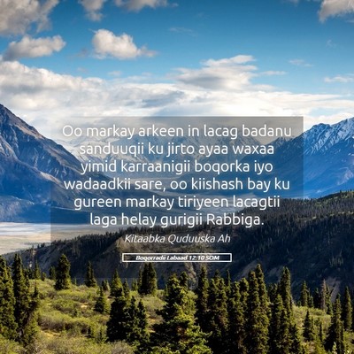 Picture 05 - Boqorradii Labaad 12:10 SOM - Oo markay arkeen in lacag badanu sanduuqii ku - Bible Verse Picture