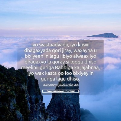 Picture 05 - Boqorradii Labaad 12:12 SOM - iyo wastaadyadii, iyo kuwii dhagaxyada qori - Bible Verse Picture