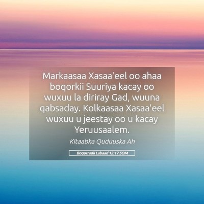 Picture 05 - Boqorradii Labaad 12:17 SOM - Markaasaa Xasaa'eel oo ahaa boqorkii Suuriya - Bible Verse Picture