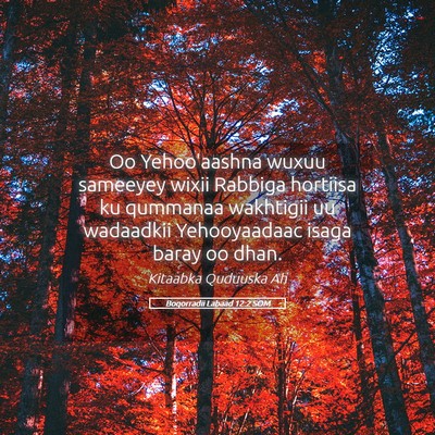 Picture 05 - Boqorradii Labaad 12:2 SOM - Oo Yehoo'aashna wuxuu sameeyey wixii Rabbiga - Bible Verse Picture