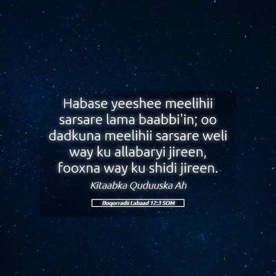 Picture 05 - Boqorradii Labaad 12:3 SOM - Habase yeeshee meelihii sarsare lama baabbi'in; - Bible Verse Picture