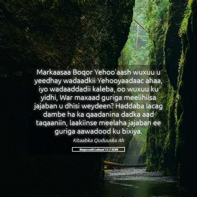Picture 05 - Boqorradii Labaad 12:7 SOM - Markaasaa Boqor Yehoo'aash wuxuu u yeedhay - Bible Verse Picture