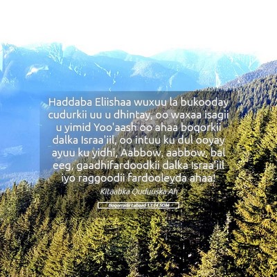 Picture 05 - Boqorradii Labaad 13:14 SOM - Haddaba Eliishaa wuxuu la bukooday cudurkii uu u - Bible Verse Picture