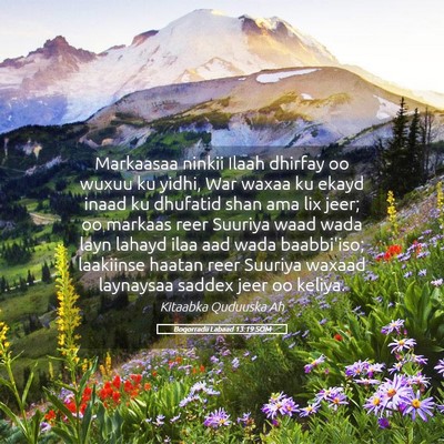 Picture 05 - Boqorradii Labaad 13:19 SOM - Markaasaa ninkii Ilaah dhirfay oo wuxuu ku yidhi, - Bible Verse Picture