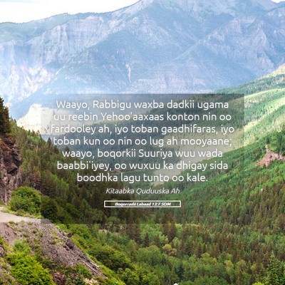 Picture 05 - Boqorradii Labaad 13:7 SOM - Waayo, Rabbigu waxba dadkii ugama uu reebin - Bible Verse Picture