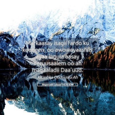 Picture 05 - Boqorradii Labaad 14:20 SOM - Markaasay isagii fardo ku keeneen, oo - Bible Verse Picture