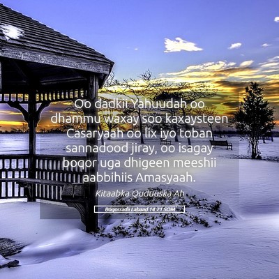 Picture 05 - Boqorradii Labaad 14:21 SOM - Oo dadkii Yahuudah oo dhammu waxay soo kaxaysteen - Bible Verse Picture
