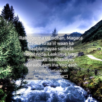Picture 05 - Boqorradii Labaad 14:27 SOM - Rabbigu ma uu odhan, Magaca dadka Israa'iil waan - Bible Verse Picture