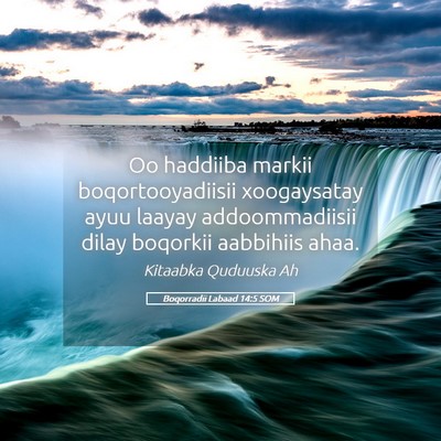 Picture 05 - Boqorradii Labaad 14:5 SOM - Oo haddiiba markii boqortooyadiisii xoogaysatay - Bible Verse Picture