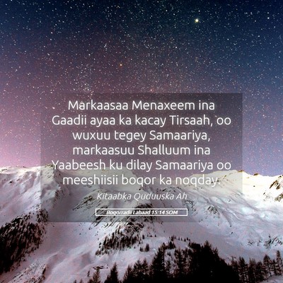 Picture 05 - Boqorradii Labaad 15:14 SOM - Markaasaa Menaxeem ina Gaadii ayaa ka kacay - Bible Verse Picture