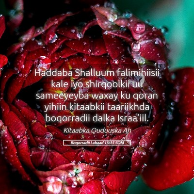Picture 05 - Boqorradii Labaad 15:15 SOM - Haddaba Shalluum falimihiisii kale iyo - Bible Verse Picture