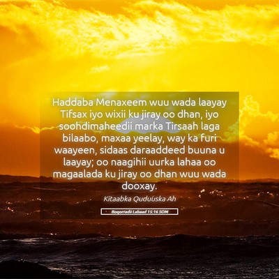 Picture 05 - Boqorradii Labaad 15:16 SOM - Haddaba Menaxeem wuu wada laayay Tifsax iyo wixii - Bible Verse Picture