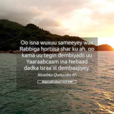 Picture 05 - Boqorradii Labaad 15:24 SOM - Oo isna wuxuu sameeyey wax Rabbiga hortiisa shar - Bible Verse Picture