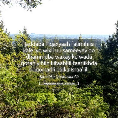 Picture 05 - Boqorradii Labaad 15:26 SOM - Haddaba Fiqaxyaah falimihiisii kale iyo wixii uu - Bible Verse Picture