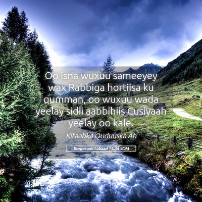 Picture 05 - Boqorradii Labaad 15:34 SOM - Oo isna wuxuu sameeyey wax Rabbiga hortiisa ku - Bible Verse Picture