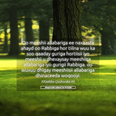 Picture 05 - Boqorradii Labaad 16:14 SOM - Oo meeshii allabariga ee naxaasta ahayd oo - Bible Verse Picture
