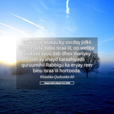 Picture 05 - Boqorradii Labaad 16:3 SOM - Laakiinse wuxuu ku socday jidkii boqorrada dalka - Bible Verse Picture