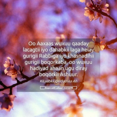 Picture 05 - Boqorradii Labaad 16:8 SOM - Oo Aaxaas wuxuu qaaday lacagtii iyo dahabkii laga - Bible Verse Picture