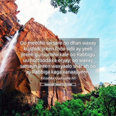 Picture 05 - Boqorradii Labaad 17:11 SOM - Oo meelihii sarsare oo dhan waxay ku shidi jireen - Bible Verse Picture