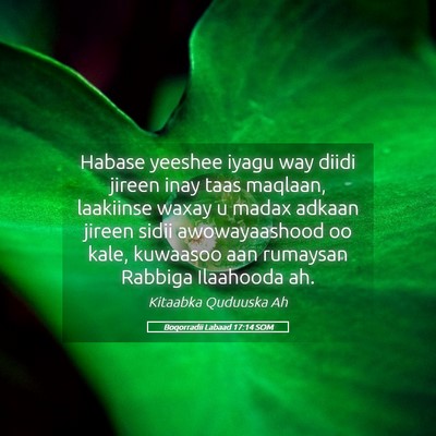 Picture 05 - Boqorradii Labaad 17:14 SOM - Habase yeeshee iyagu way diidi jireen inay taas - Bible Verse Picture