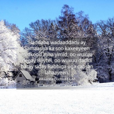 Picture 05 - Boqorradii Labaad 17:28 SOM - Haddaba wadaaddadii ay Samaariya ka soo kaxeeyeen - Bible Verse Picture