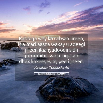 Picture 05 - Boqorradii Labaad 17:33 SOM - Rabbiga way ka cabsan jireen, isla markaasna - Bible Verse Picture