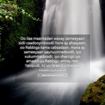 Picture 05 - Boqorradii Labaad 17:34 SOM - Oo ilaa maantadan waxay sameeyaan sidii - Bible Verse Picture