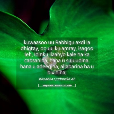 Picture 05 - Boqorradii Labaad 17:35 SOM - kuwaasoo uu Rabbigu axdi la dhigtay, oo uu ku - Bible Verse Picture