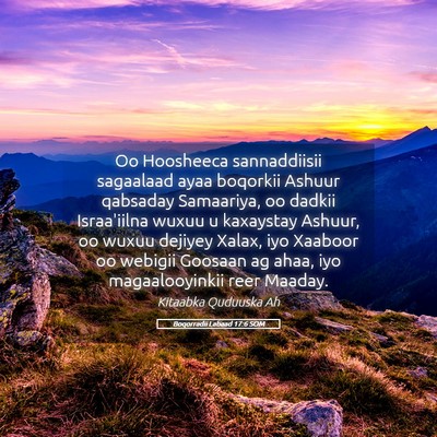 Picture 05 - Boqorradii Labaad 17:6 SOM - Oo Hoosheeca sannaddiisii sagaalaad ayaa boqorkii - Bible Verse Picture