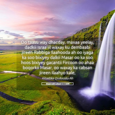 Picture 05 - Boqorradii Labaad 17:7 SOM - Oo taasu way dhacday, maxaa yeelay, dadkii - Bible Verse Picture