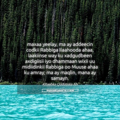 Picture 05 - Boqorradii Labaad 18:12 SOM - maxaa yeelay, ma ay addeecin codkii Rabbiga - Bible Verse Picture