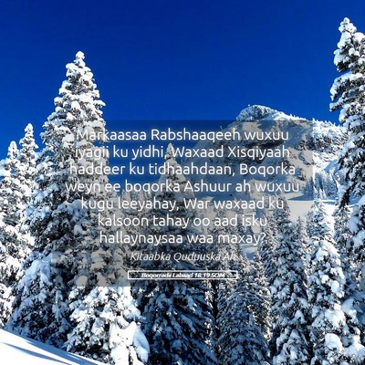 Picture 05 - Boqorradii Labaad 18:19 SOM - Markaasaa Rabshaaqeeh wuxuu iyagii ku yidhi, - Bible Verse Picture