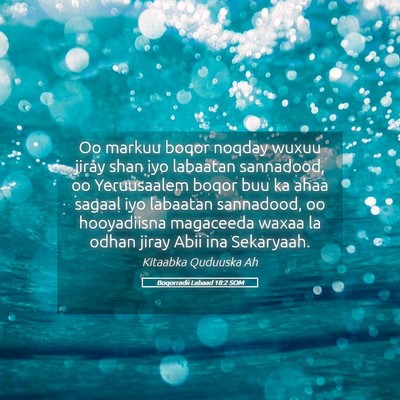 Picture 05 - Boqorradii Labaad 18:2 SOM - Oo markuu boqor noqday wuxuu jiray shan iyo - Bible Verse Picture