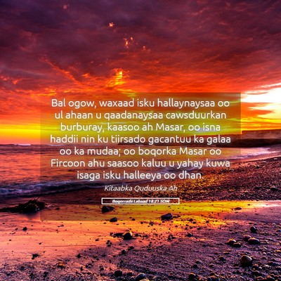 Picture 05 - Boqorradii Labaad 18:21 SOM - Bal ogow, waxaad isku hallaynaysaa oo ul ahaan u - Bible Verse Picture
