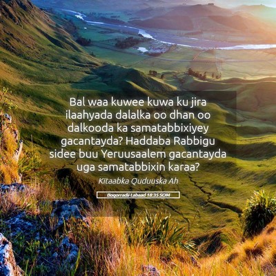 Picture 05 - Boqorradii Labaad 18:35 SOM - Bal waa kuwee kuwa ku jira ilaahyada dalalka oo - Bible Verse Picture