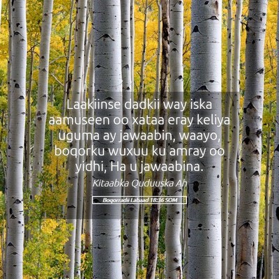 Picture 05 - Boqorradii Labaad 18:36 SOM - Laakiinse dadkii way iska aamuseen oo xataa eray - Bible Verse Picture