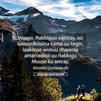 Picture 05 - Boqorradii Labaad 18:6 SOM - Waayo, Rabbiguu xajistay, oo lasocodkiisiina kama - Bible Verse Picture