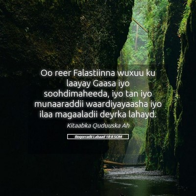 Picture 05 - Boqorradii Labaad 18:8 SOM - Oo reer Falastiinna wuxuu ku laayay Gaasa iyo - Bible Verse Picture